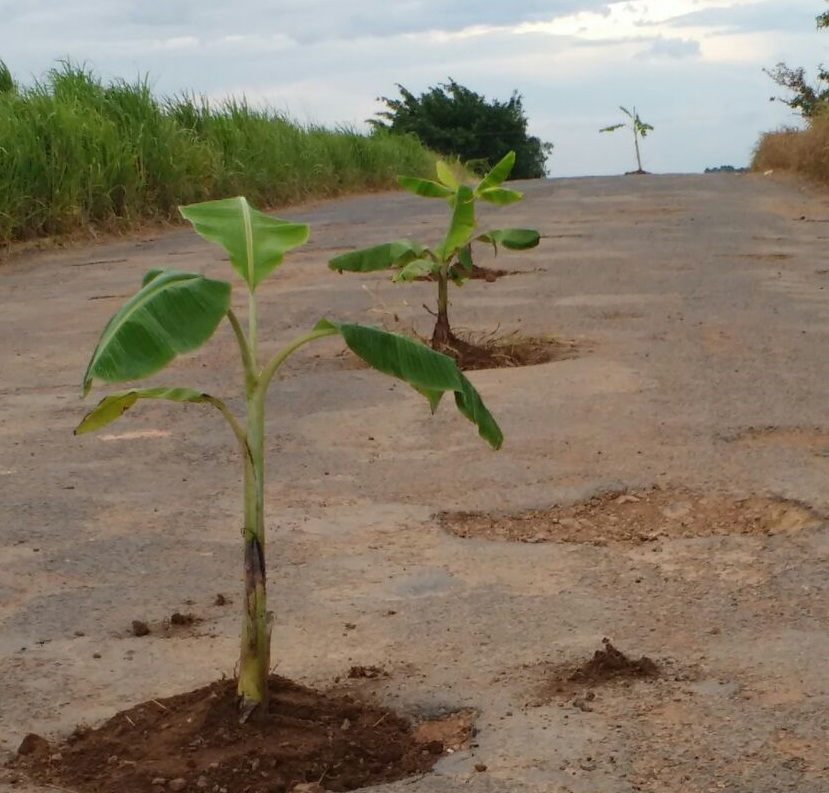 07a9c5b6-e219-48c8-a5ef-dbe1e3ae8d0b