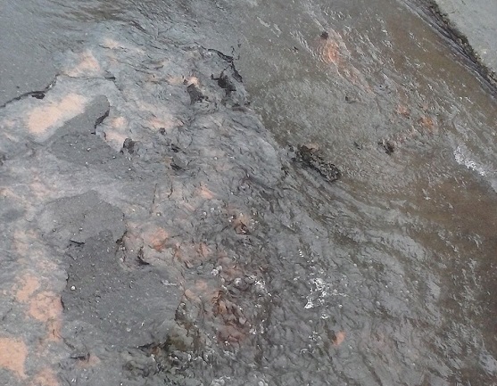 9e4fed96-e409-4826-be79-4e0ed210831a