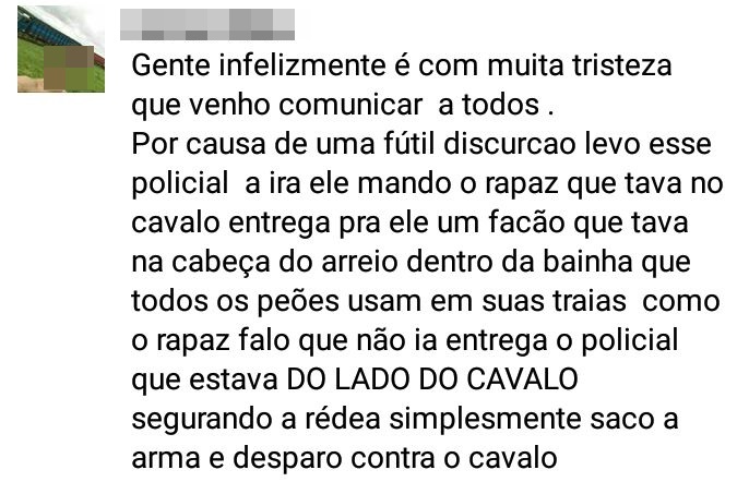 Policial militar mata cavalo e gera revolta nas redes sociais