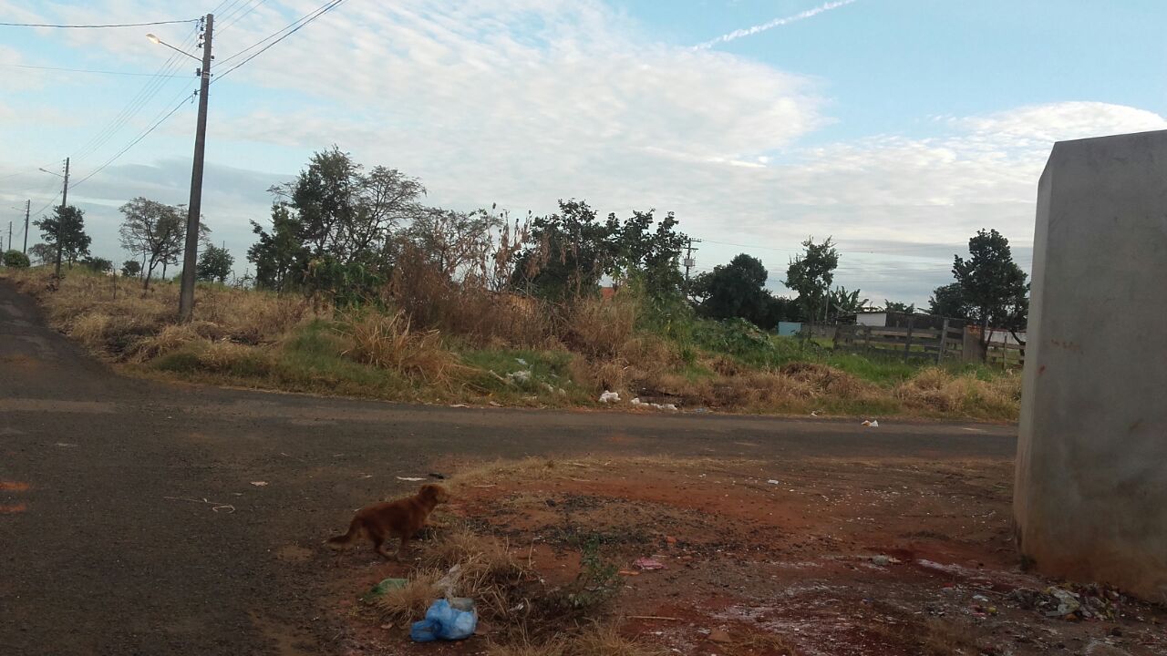 865d99e5-dc14-4ccf-96bb-2cf7ef8adcaf