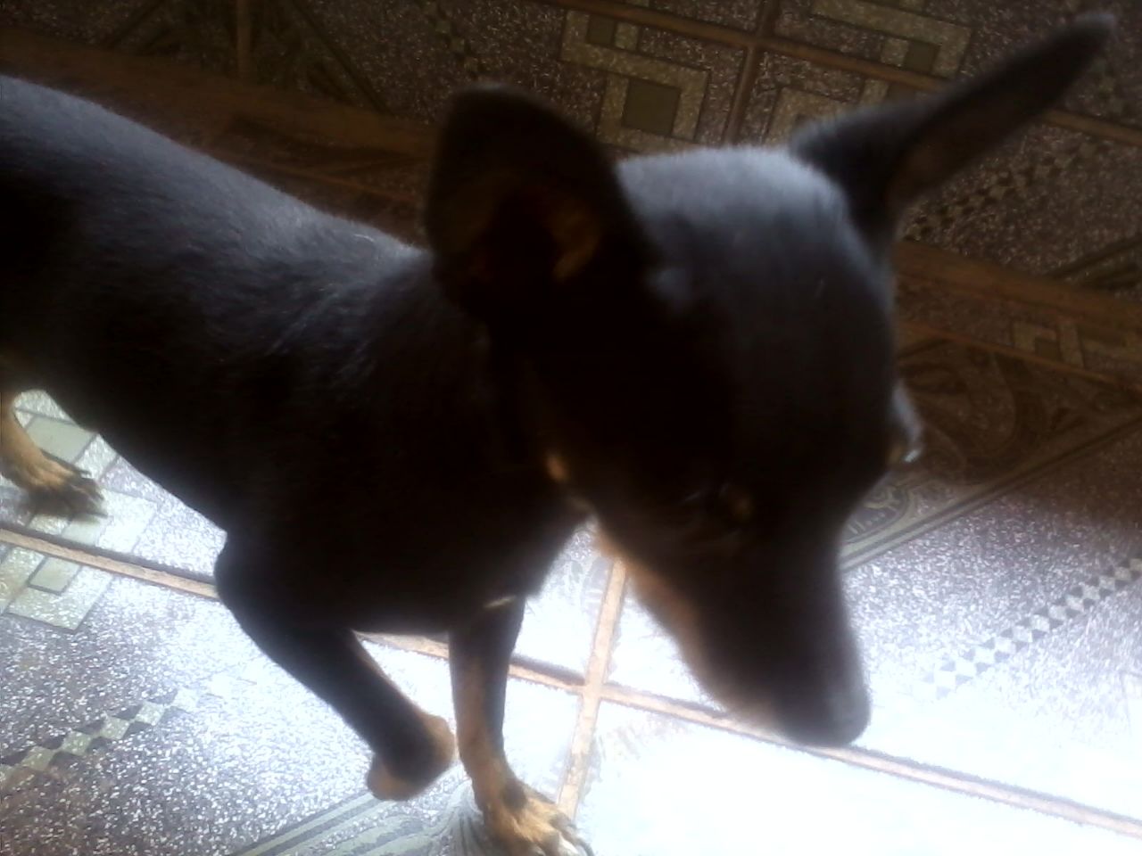 95898e54-dcca-4e98-9134-84afe8104211