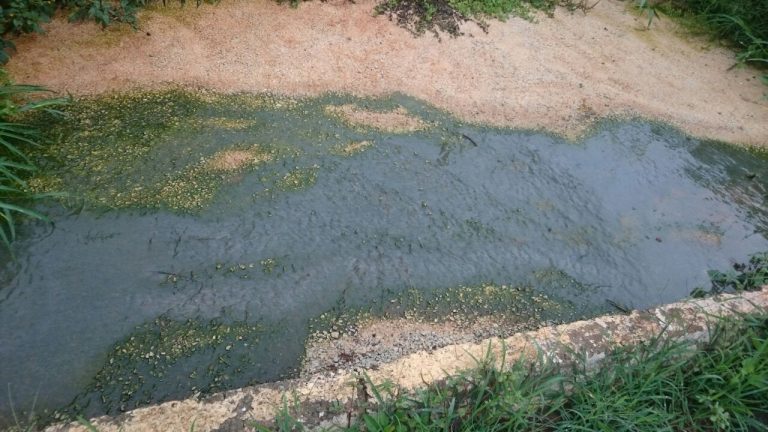 QUERO VER NO BLOG: vazamento fedorento no Jardim Primavera