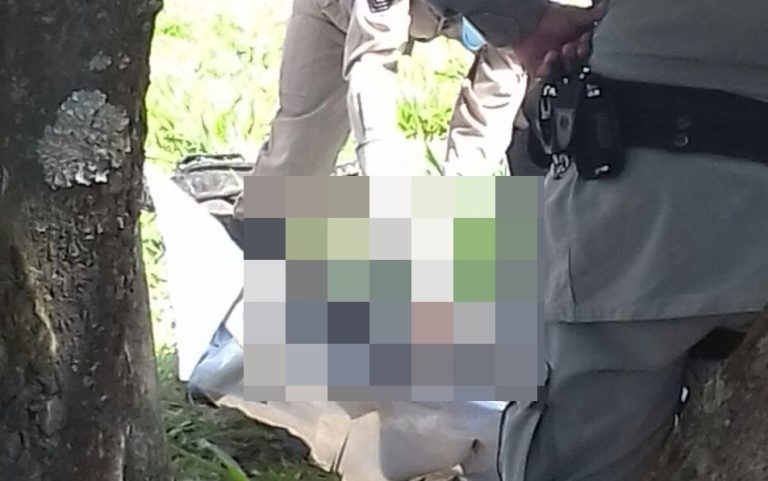 Corpo encontrado em buraco no Ginásio Internacional estava carbonizado