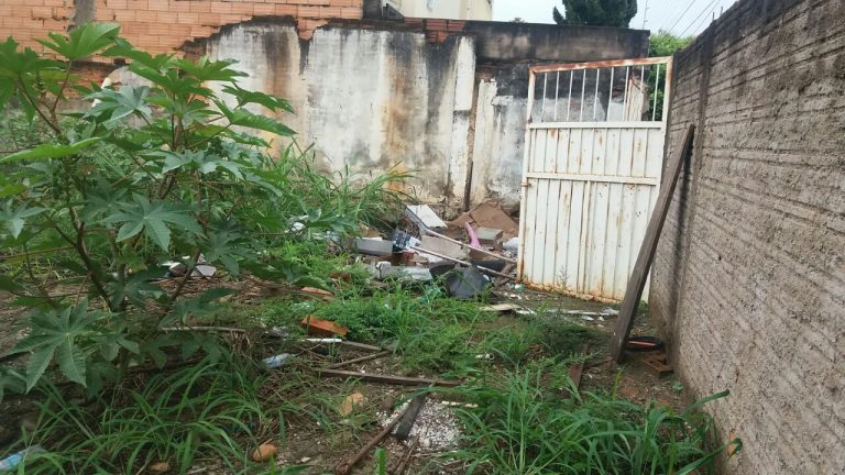 QUERO VER NO BLOG: lote ao lado do IBGE com muita sujeira e canteiros de avenidas com mato alto são as reclamações