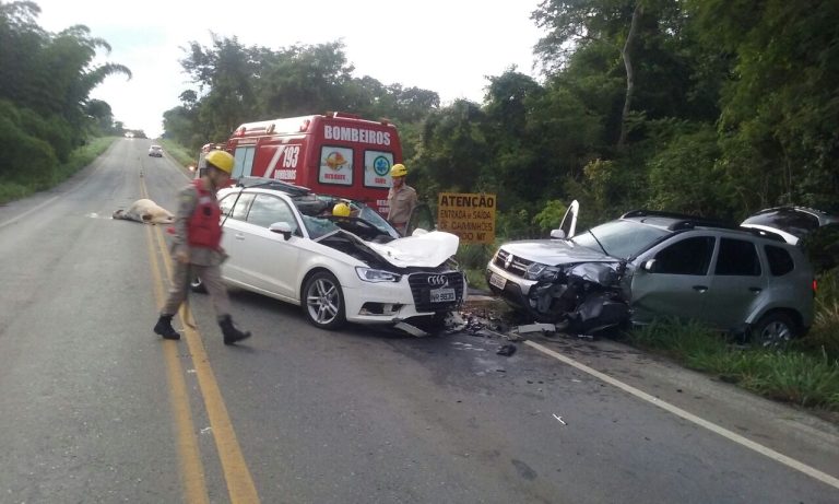 Jovem de 26 anos morre após bater em uma vaca e chocar com outro veículo entre Catalão e Ipameri