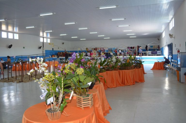 ACONTECE: 10º Mostra de Orquídeas de Catalão