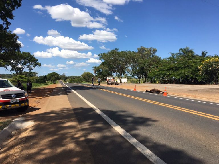 Morre a segunda vítima do acidente dos motoqueiros que se colidiram com um cavalo na BR 050