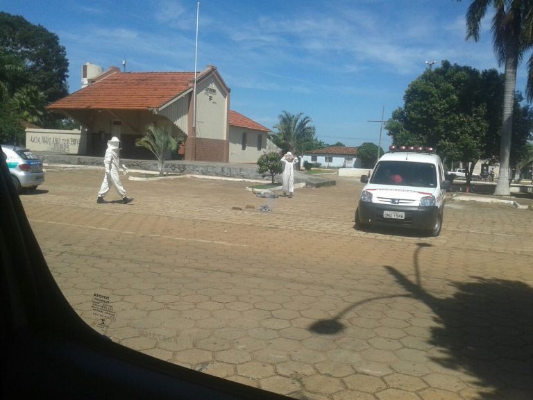 Homem de 58 anos de idade morre após ser atacado por enxame de abelhas em praça de Ouvidor