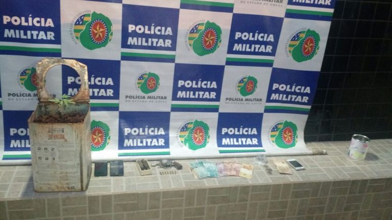 Pé de maconha é apreendido pela PM de Catalão