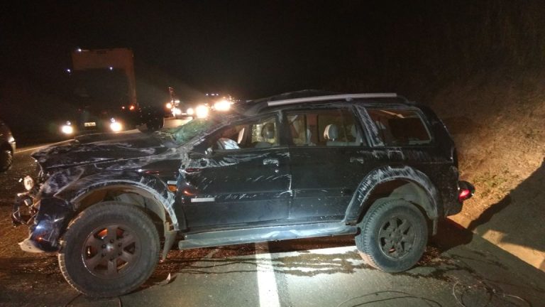 PRF registra capotamento na BR 050 entre Uberlândia e Catalão