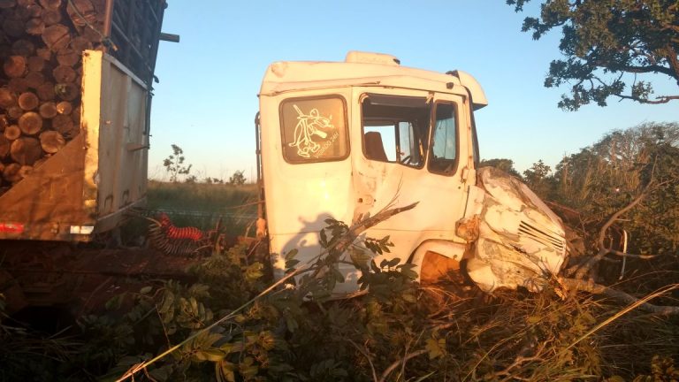 Após perder o controle, condutor de caminhão saí da pista e bate em árvore na BR 050
