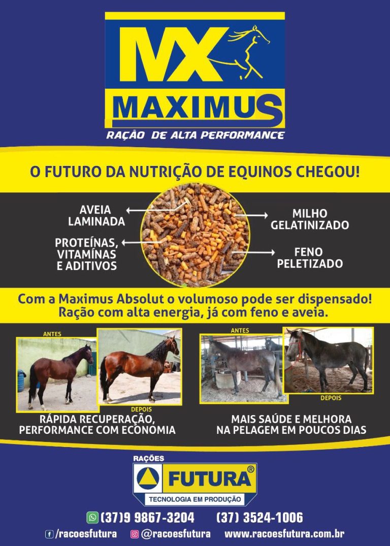 Atenção criadores de equinos de Catalão