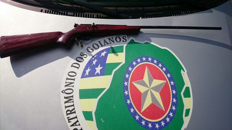PM de Davinópolis apreende espingarda