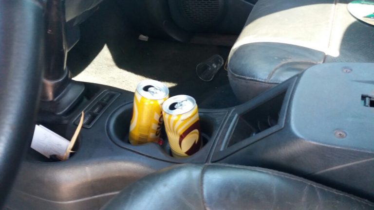 Casal é flagrado nu dentro de carro na contramão na BR-060