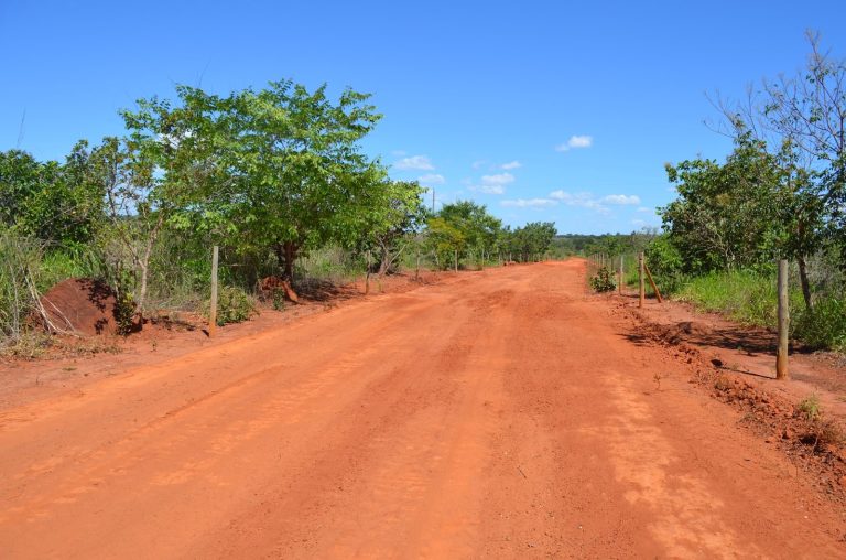 Prazo para entrega de declaração de propriedades rurais termina hoje