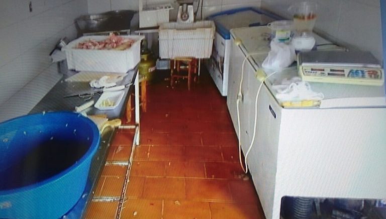 Operação: quase 600 kg de carnes foram apreendas pela Agrodefesa a pedido do Ministério Público