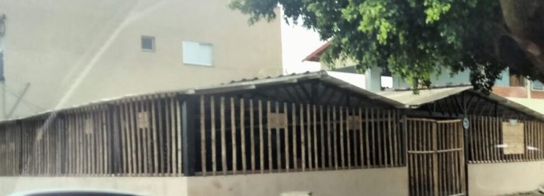 Tragédia em Campo Alegre de Goiás: pai e filha são baleados e rapaz de 19 anos morre com tiro no peito