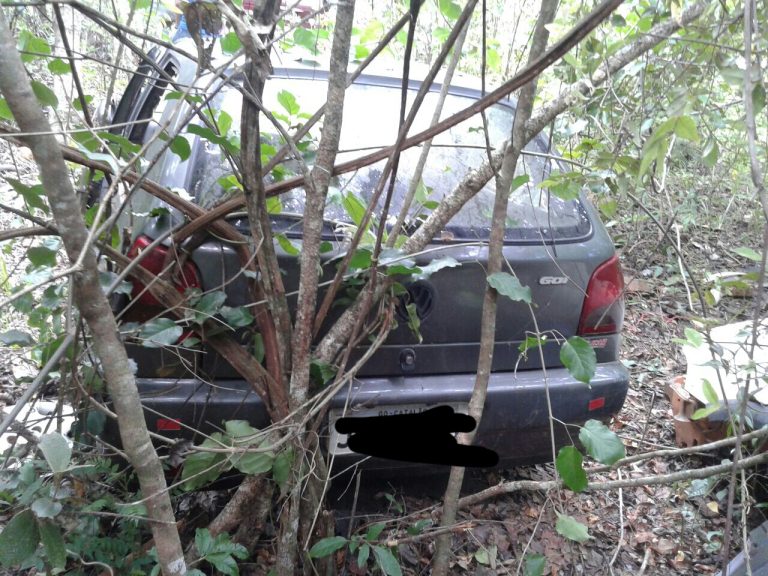 11 veículos são encontrados pela PM na zona rural de Ouvidor