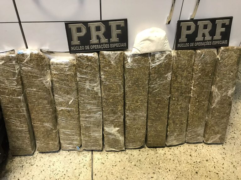 Homem é preso em ônibus carregando 10 kg de maconha; policias sentiram odor de maconha em documento de passageiro