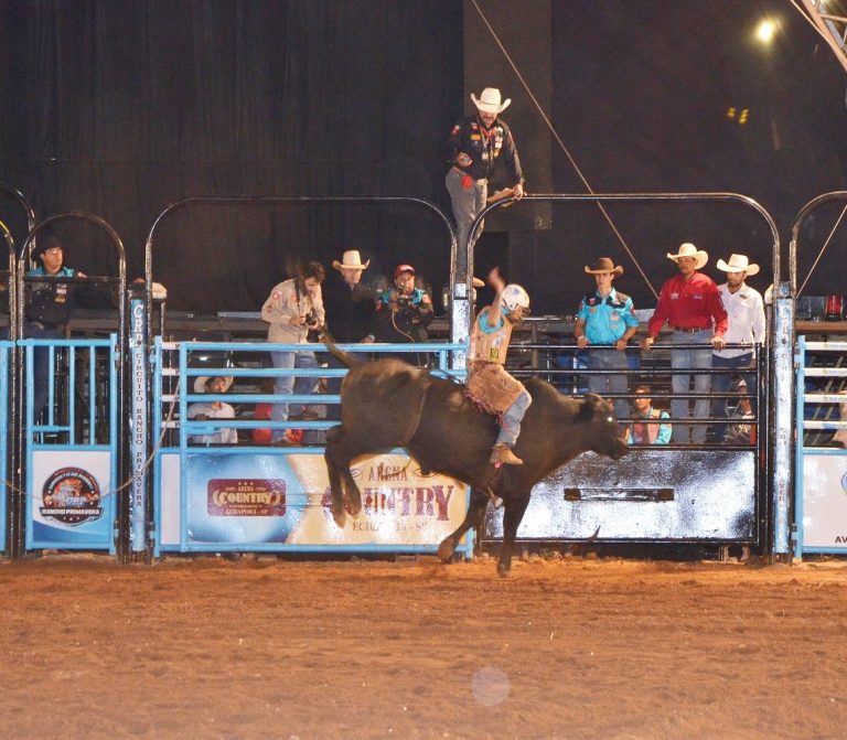 Expo Catalão 2018: abertura oficial do rodeio profissional será com portões abertos