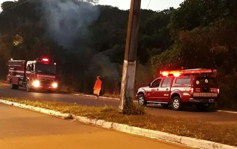 Frequentemente áreas ambientais de Catalão são incendiadas