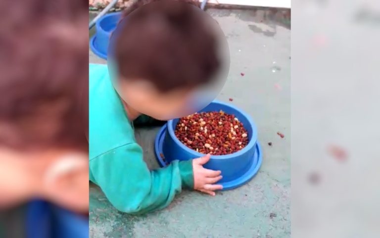 Vídeo de criança com deficiência comendo ração de cachorro causa repercussão e comoção nas redes sociais
