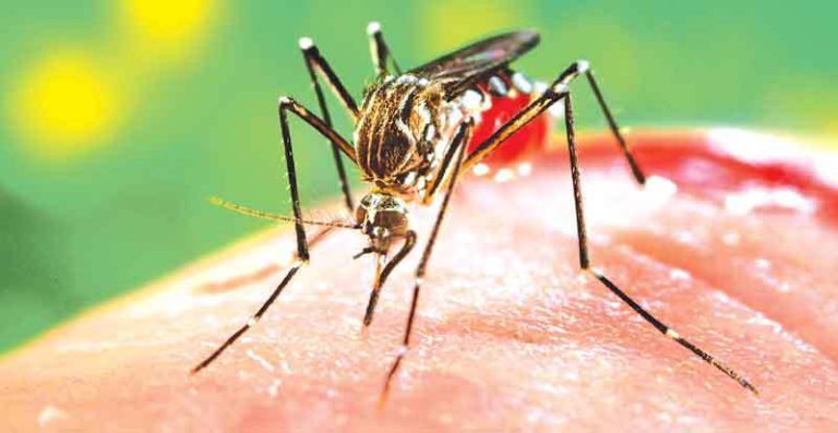 Confirmado morte por dengue em Catalão