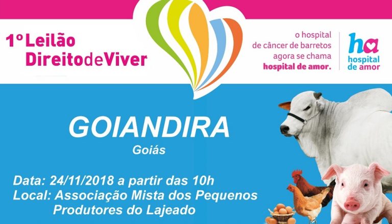Leilão Direito de Viver em prol do HCB, em Goiandira, acontece no próximo sábado (24/11)