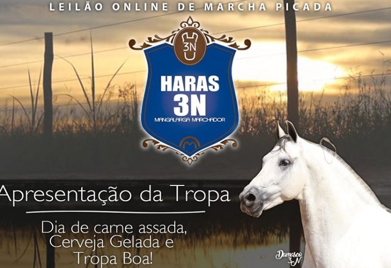 Haras 3N apresenta tropa no próximo sábado (08)