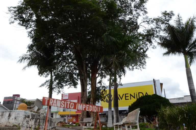 ÁREA NAS IMEDIAÇÕES DA PRAÇA GETÚLIO VARGAS É INTERDITADA PARA RETIRADA DE ÁRVORE; LAUDO DA SEMMAC AFIRMA QUE SITUAÇÃO É DE RISCO PARA A POPULAÇÃO