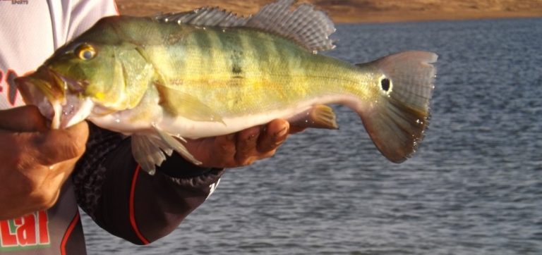 4º TORNEIO DE PESCA ESPORTIVA ACONTECE NESTE SÁBADO, 25 DE MAIO, NA PRAIA ARTIFICIAL DE TRÊS RANCHOS; GINCANA DE RESPONSABILIDADE AMBIENTAL TAMBÉM SERÁ REALIZADA