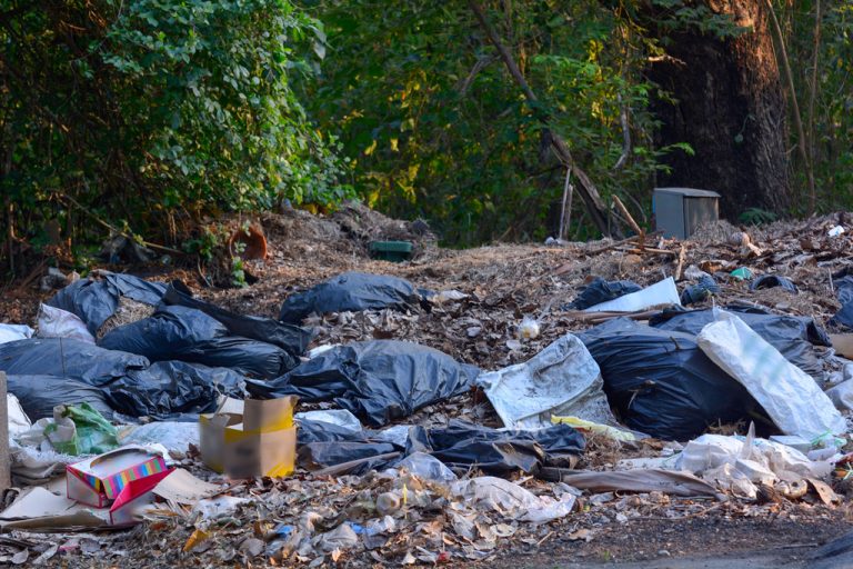 MUNICÍPIO DE NOVA AURORA TERÁ QUE DEIXAR DE JOGAR RESÍDOS EM LIXÃO E DAR INÍCIO AO PLANO DE RECUPERAÇÃO AMBIENTAL