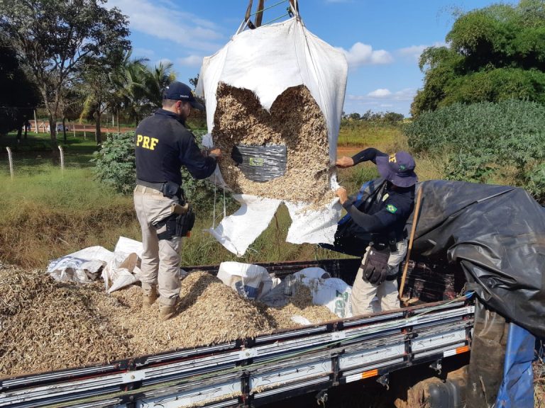 CASAL É PRESO EM JATAÍ TRANSPORTANDO CERCA DE 600 QUILOS DE DROGA