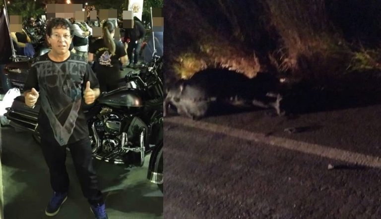 ANIMAL BOVINO SOLTO NA GO 330, ENTRE CATALÃO E IPAMERI, PROVOCA A MORTE DE UM COMERCIANTE DE CATALÃO; SUA ESPOSA DE 47 ANOS DE IDADE FICOU GRAVEMENTE FERIDA