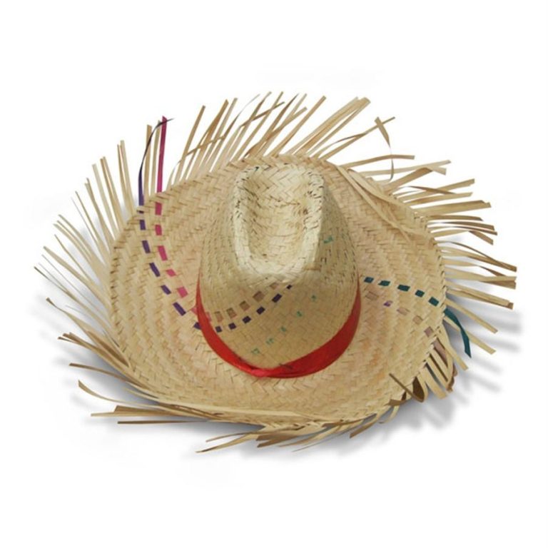 EM FESTA DE ROÇA, VEREADOR DE CATALÃO ARREMATA CHAPÉU EM LEILÃO POR R$ 3 MIL REAIS