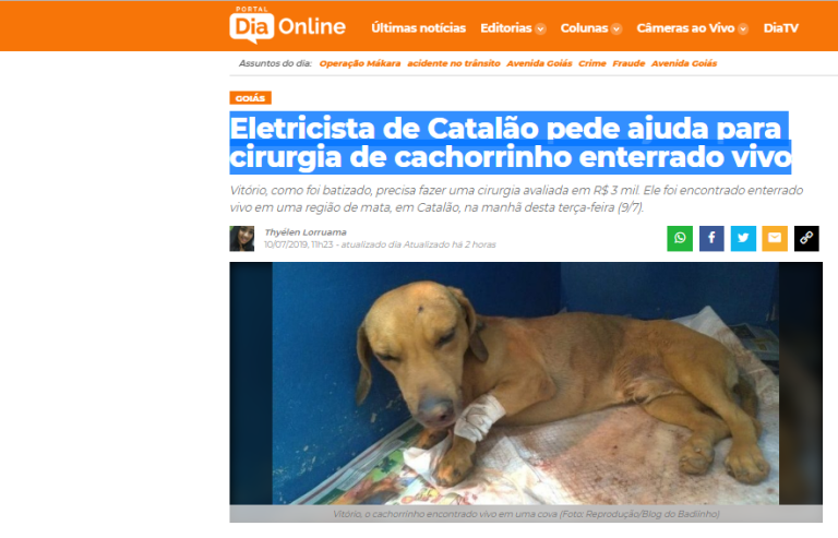 IMPRENSA GOIANA DESTACA CASO DO CACHORRO ENCONTRADO ENTERRADO VIVO EM CATALÃO