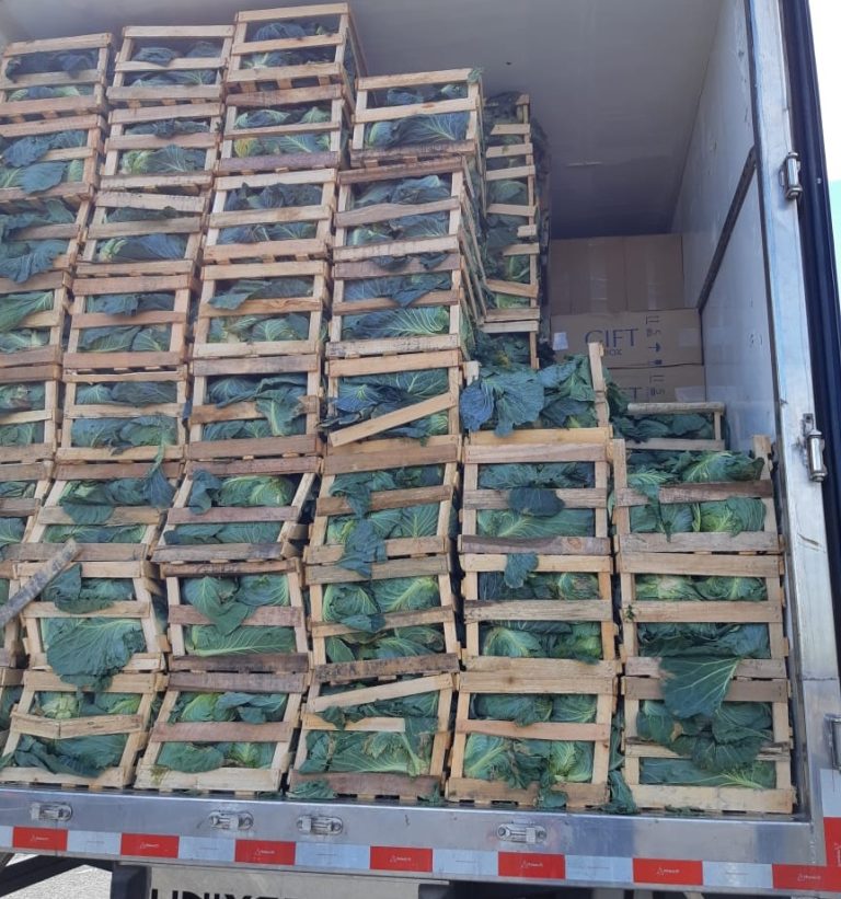 PRF APREENDE CARGA CONTRABANDEADA DE CIGARROS ESCONDIDA EM MEIO A CAIXAS DE REPOLHO