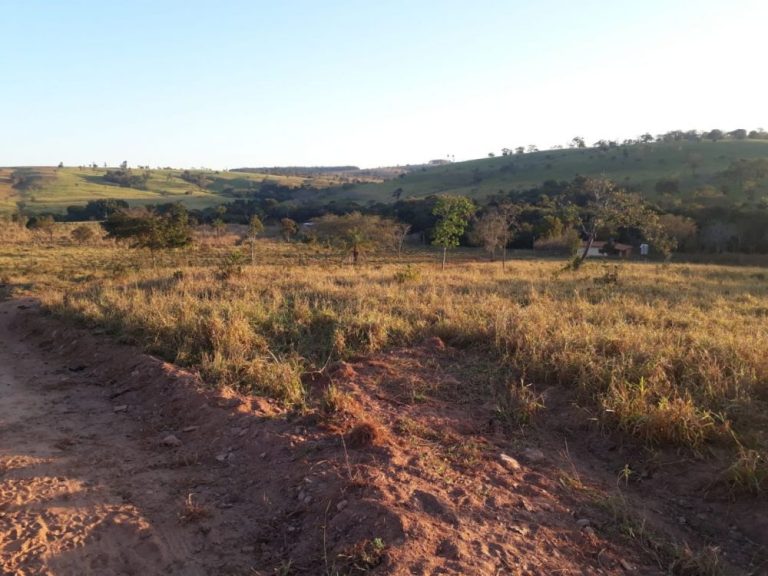 COMEÇA HOJE PRAZO PARA A ENTREGA DA DECLARAÇÃO DE PROPRIEDADE RURAL