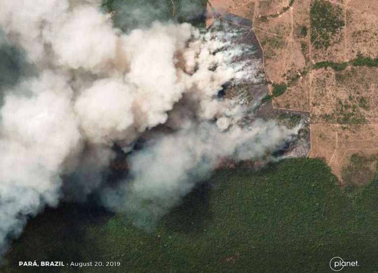 CRISE INTERNACIONAL SE INSTALA COM QUEIMADAS SEM CONTROLE NA AMAZÔNIA