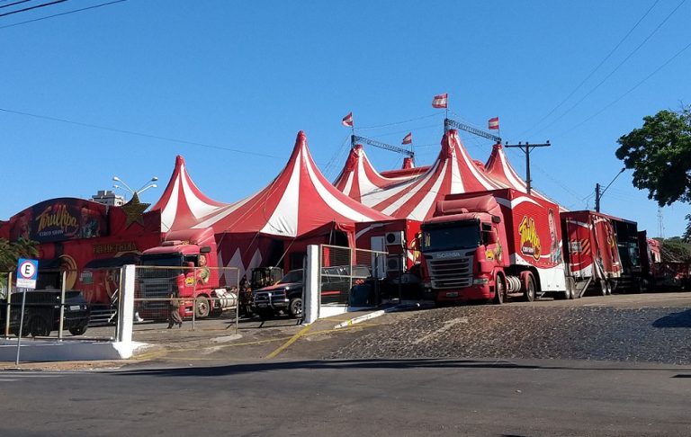 CIRCO DO TIRULLIPA, FILHO DO PALHAÇO TIRIRICA, ESTREIA NESTA QUINTA-FEIRA (29); VEJA NO BLOG DO BADIINHO OS VALORES DOS INGRESSOS