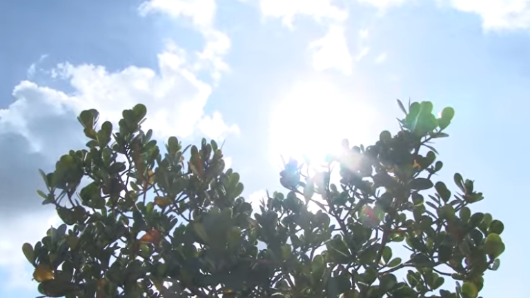 COM UMIDADE RELATIVA DO AR NA CASA DOS 10%, CATALÃO VIVE SITUAÇÃO DE EMERGÊNCIA; ESTADO DE GOIÁS REGISTRA RECORDE DE CALOR