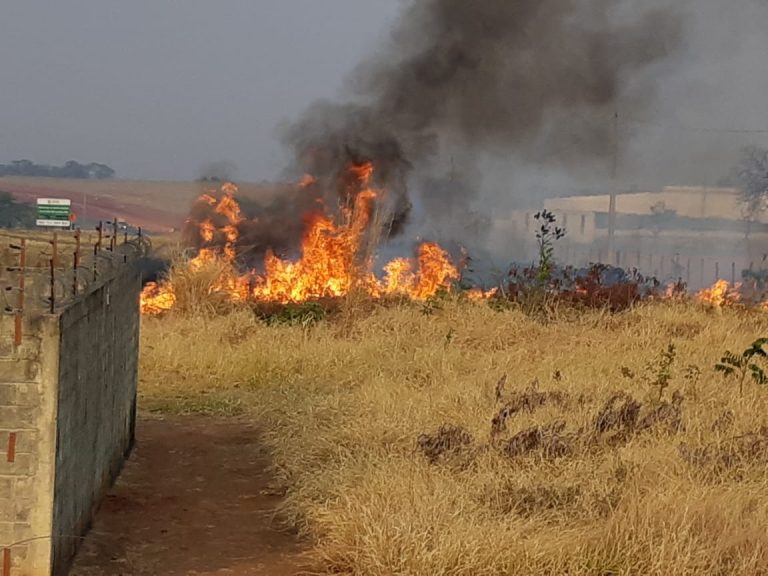EM CATALÃO, IDOSO É FLAGRADO POR MONITORAMENTO DA BR 050 E ATUADO POR INCÊNDIO EM VEGETAÇÃO; HOMEM DISSE QUE FOGO PARTIU DE PAPEL HIGIÊNICO QUE ELE TERIA COLOCADO FOGO
