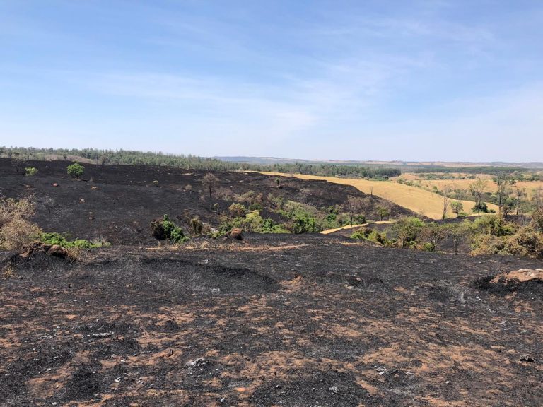 INCÊNDIO INICIADO EM PROPRIEDADE DE MINERADORA DE CATALÃO INVADIU TERRAS VIZINHAS, DESTRUIU CERCA DE ALQUEIRES DE VEGETAÇÃO E MATOU VÁRIOS ANIMAIS; QUEIMADA OCORREU NO ÚLTIMO DOMINGO (15)