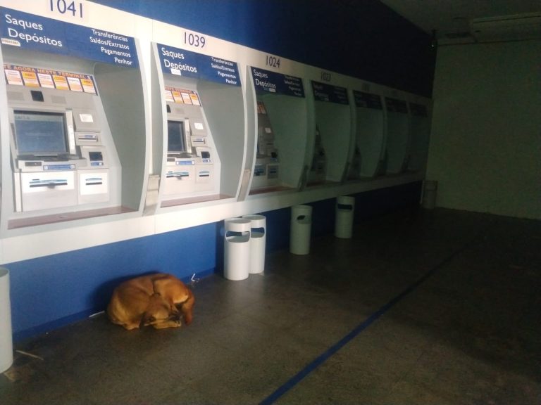 CAIXAS ELETRÔNICOS DA AGÊNCIA DA CAIXA ECONÔMICA FEDERAL DO CENTRO DE CATALÃO FICAM CONSTANTEMENTE INOPERANTES