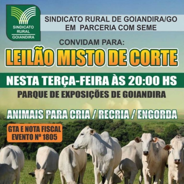 LEILÃO DE GADO SERÁ REALIZADO NA PRÓXIMA TERÇA-FEIRA (08/10), EM GOIANDIRA-GO