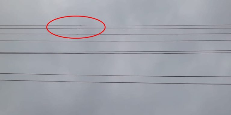 EM CATALÃO, CABOS DE ALTA TENSÃO DA REDE ELÉTRICA EM RUA DO PONTAL NORTE, GERA MEDO E PREOCUPAÇÃO DE MORADORES; SOLICITADA, ENEL NÃO FEZ OS REPAROS