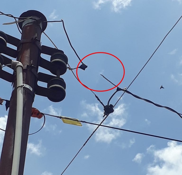 FAMÍLIA CATALANA VIVE VÉSPERA DE NATAL NO ESCURO POR INCOMPETÊNCIA DA ENEL DISTRIBUIÇÃO