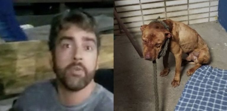 MÉDICO GOIANO ENCONTRADO EM RINHA DE CÃES TEM PRISÃO DECRETADA