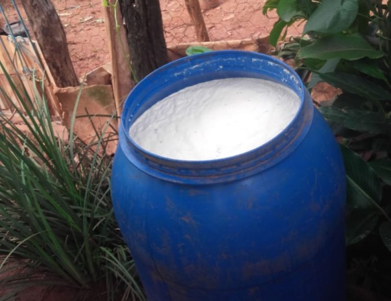 COMUNIDADE RURAL DO BOTAFOGO, MUNICÍPIO DE TRÊS RANCHOS, FICOU 73 HORAS COM FORNECIMENTO DE ENERGIA INTERROMPIDO