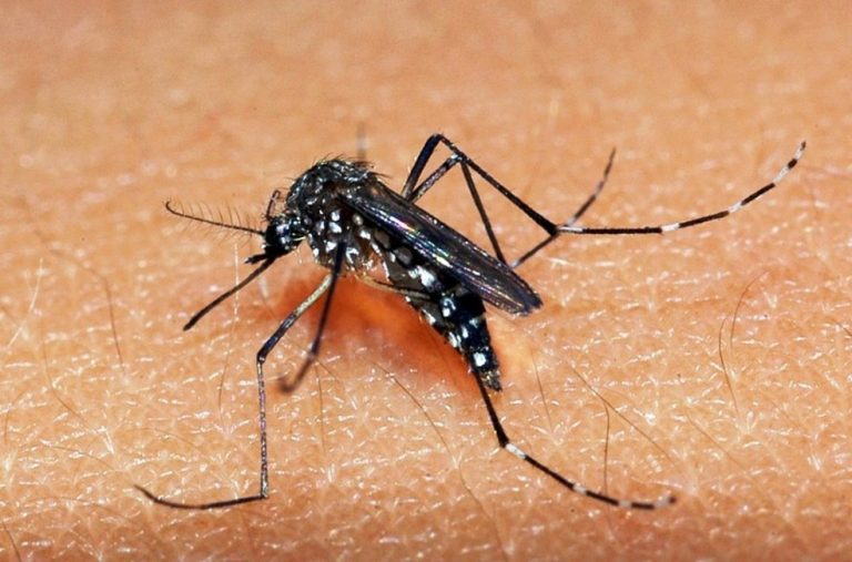 IDOSO MORRE COM SUSPEITA DE DENGUE EM CATALÃO; SECRETARIA MUNICIPAL DE SAÚDE ANALISA O CASO